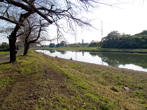 元荒川　新方須賀付近