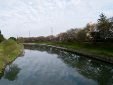 元荒川　出津橋より