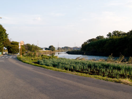 元荒川沿いの県道３２５号