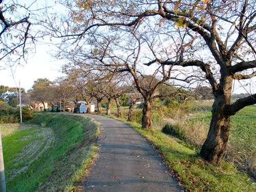 元荒川　永代橋付近