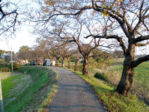 元荒川　永代橋付近