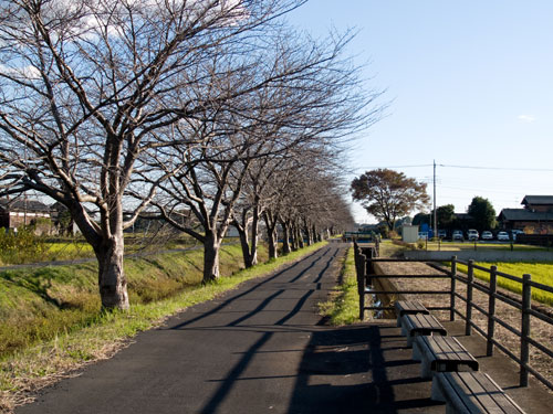 中庄内排水路