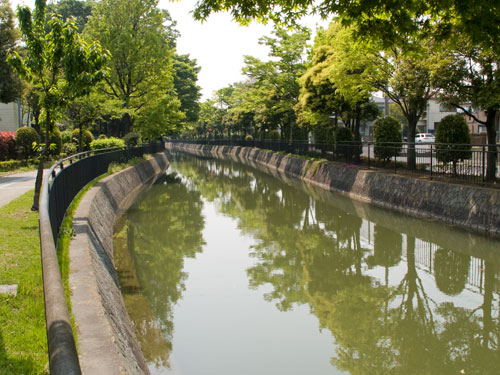 越谷市　逆川緑の道