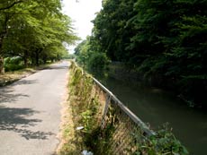 見沼代用水　新見沼大橋～国昌寺橋間