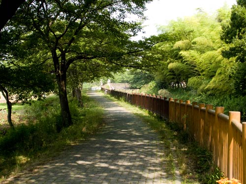 見沼代用水　国昌寺～総持院橋間