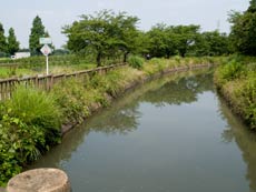 見沼代用水東縁　総持院橋より