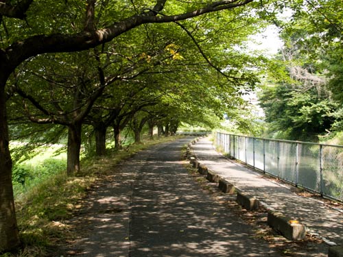 見沼代用水　締切橋～井橋間