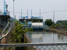 見沼代用水　東縁・西縁　分流点